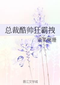 总裁酷帅狂霸拽